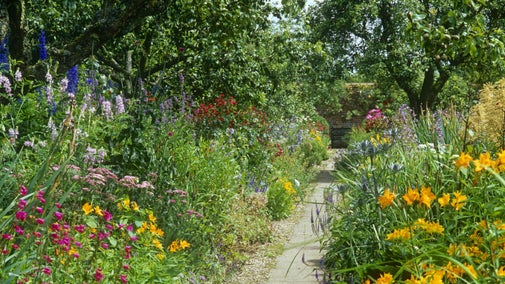 A winding path through colourful summer borders in Gunby’s Walled Garden, filled with yellow, pink and purple flowers.
